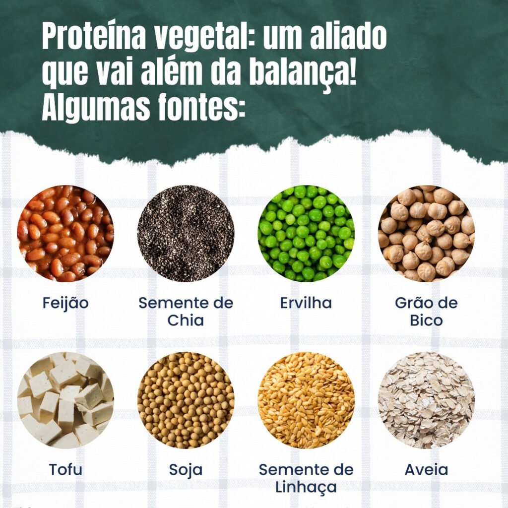 Proteína vegetal completa existe? Especialistas explicam o mito sobre aminoácidos e destacam alimentos ricos em proteína vegetal, como soja, lentilha e tremoço.