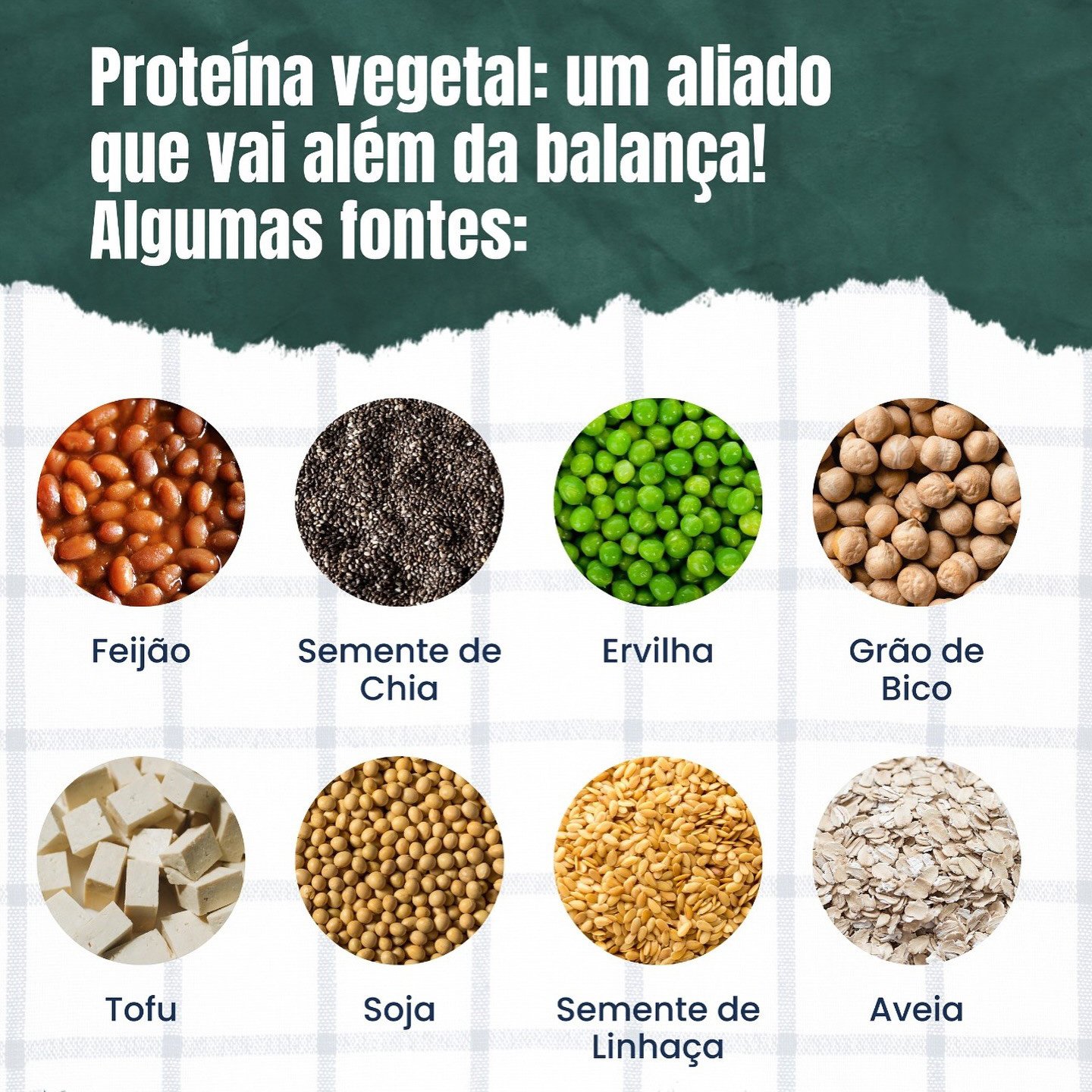 Proteína vegetal completa existe? Especialistas explicam o mito sobre aminoácidos e destacam alimentos ricos em proteína vegetal, como soja, lentilha e tremoço.
